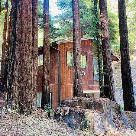 Little House In The Redwoods With A Hot Tub! Apartment Garberville Bagian luar foto