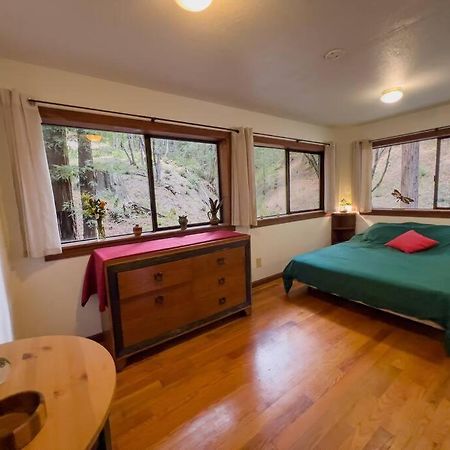 Little House In The Redwoods With A Hot Tub! Apartment Garberville Bagian luar foto