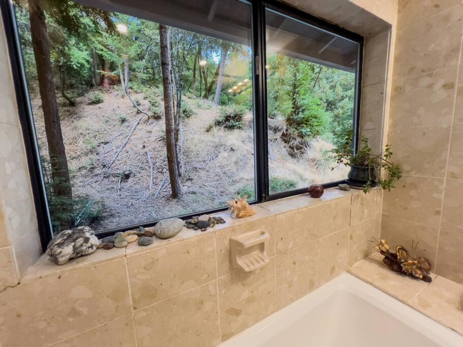 Little House In The Redwoods With A Hot Tub! Apartment Garberville Bagian luar foto