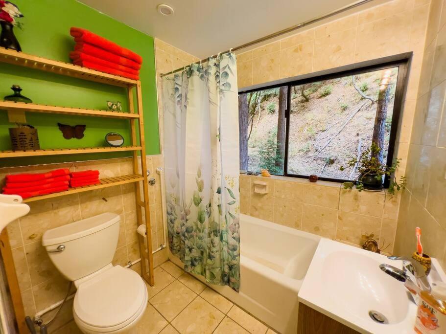 Little House In The Redwoods With A Hot Tub! Apartment Garberville Bagian luar foto