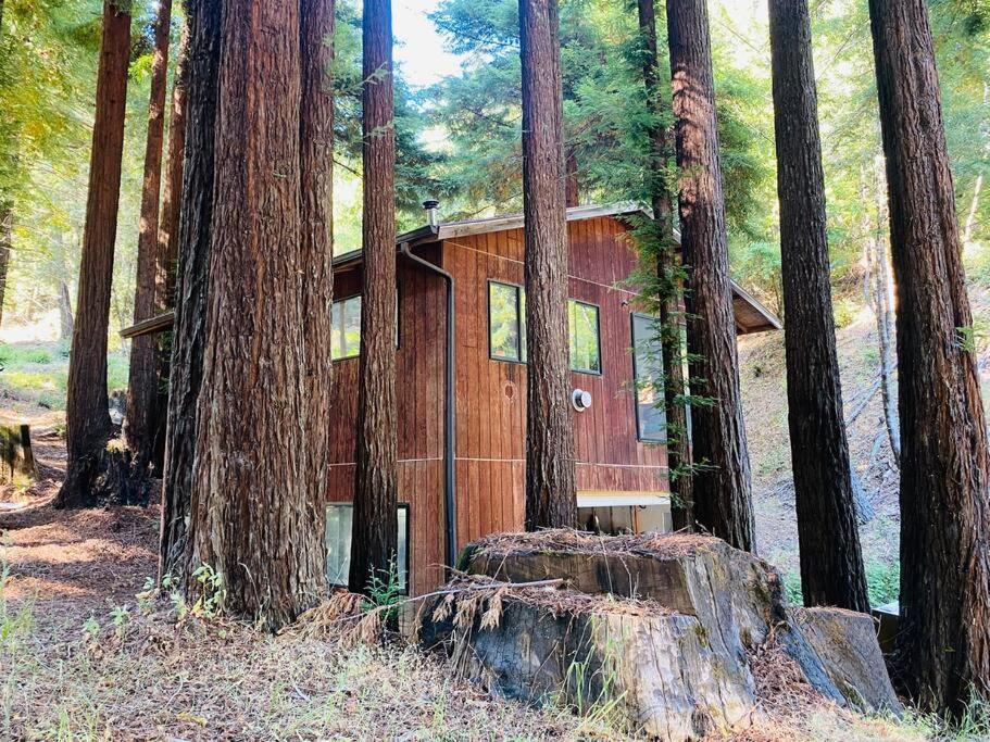 Little House In The Redwoods With A Hot Tub! Apartment Garberville Bagian luar foto