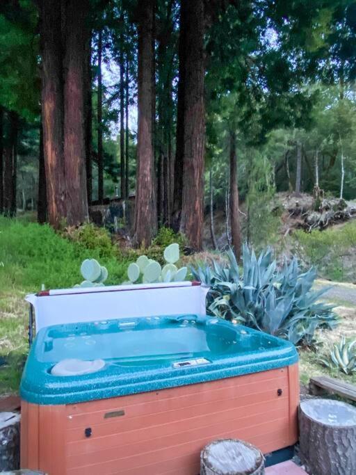 Little House In The Redwoods With A Hot Tub! Apartment Garberville Bagian luar foto