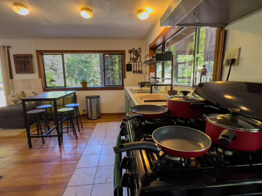 Little House In The Redwoods With A Hot Tub! Apartment Garberville Bagian luar foto