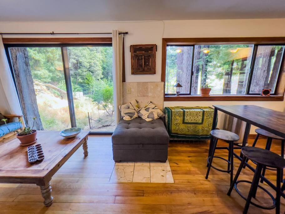 Little House In The Redwoods With A Hot Tub! Apartment Garberville Bagian luar foto